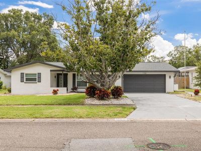 1765 Hitching Post Ln, Dunedin, FL, 34698