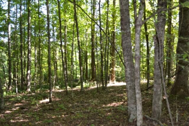 1st image of 3AC Rock Springs Rd