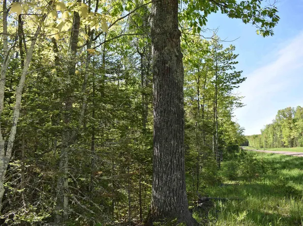 60 Andrew Anderson Rd, Mason, WI 54856