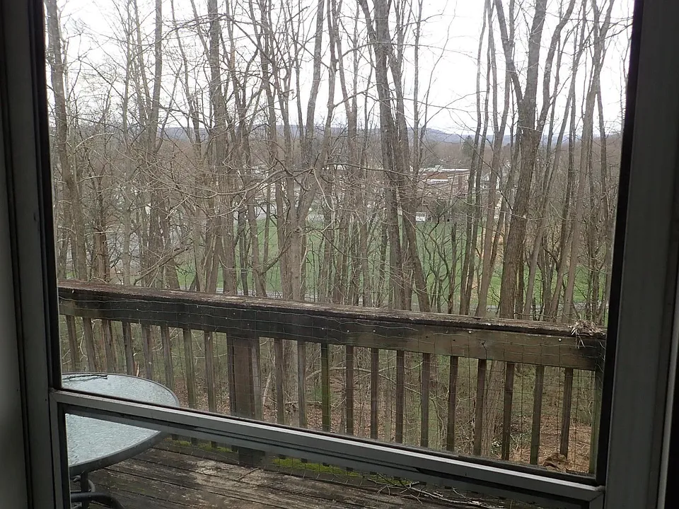 Small Deck at rear