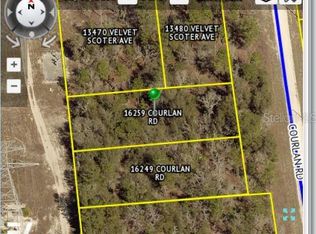 16259 Courlan Rd, Brooksville, FL 34614