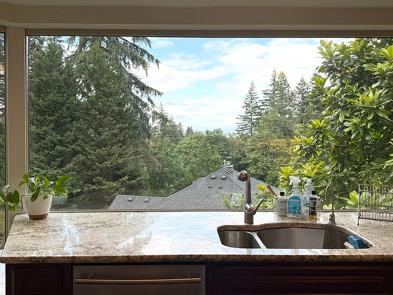View of Mt Adams from the kitchen