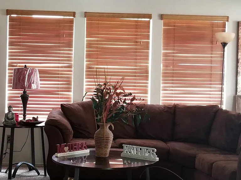 6744 Cedar Shadow Dr — Photo 18