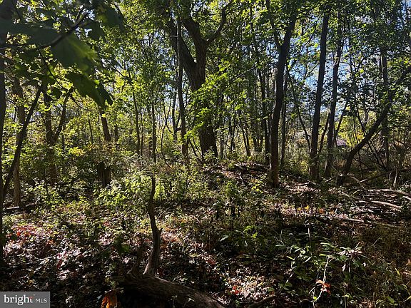 5th image of 418 Mountain Rd