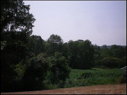 View - Rear