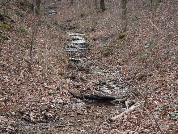 2nd image of 85.99 Bowman Ln