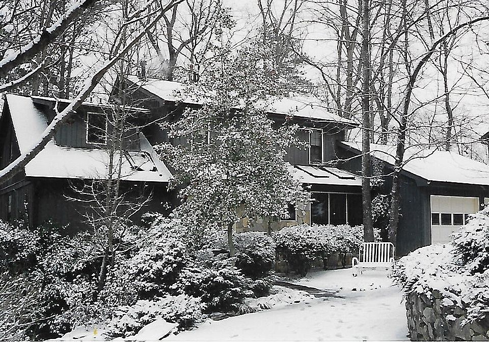 Winter Scene 