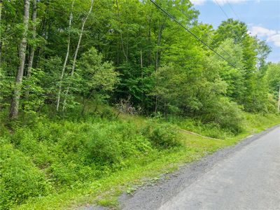 441 Dodge Lodge Rd Lot 10, Richmondville, NY, 12149