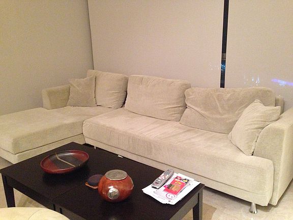 livingroom couch/bed