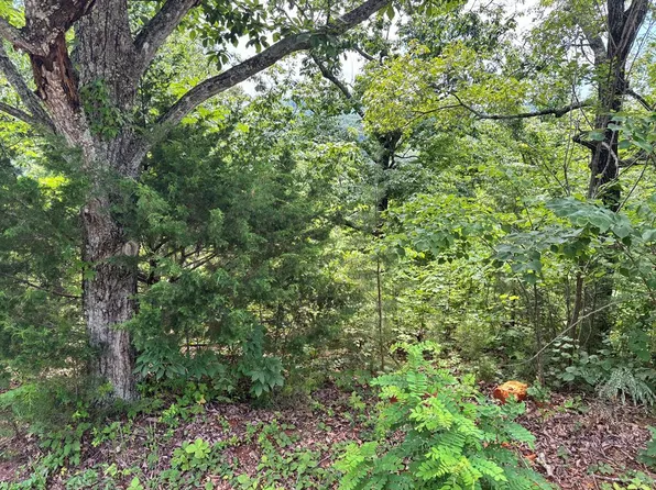 1.31 Ac Wood River Ln, Allons, TN 38541