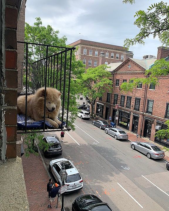 Out on the balcony over chrl