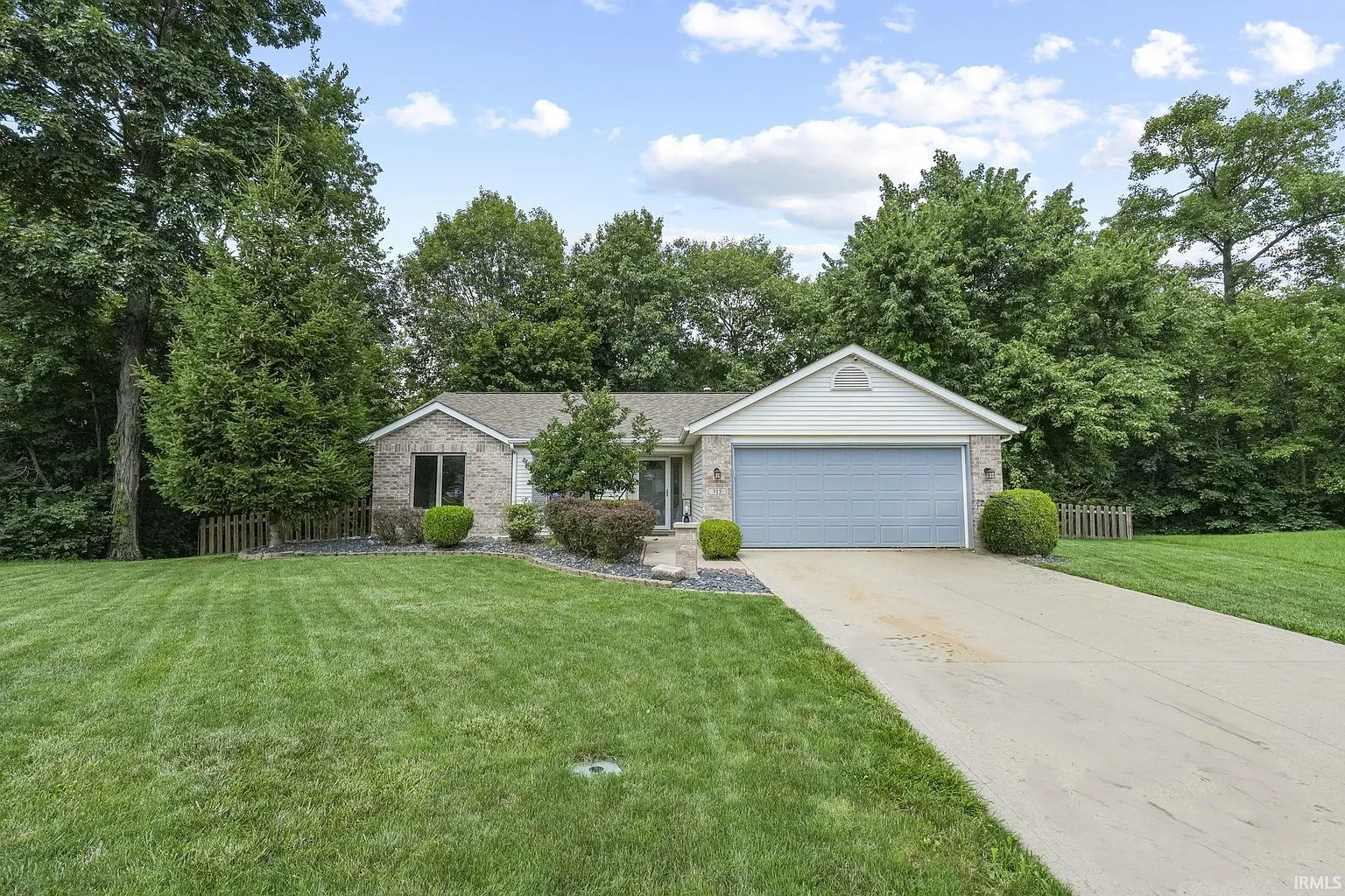 315 Silver Maple Cv photo 1