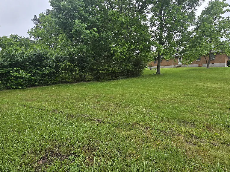 1645 White Dr — Photo 12