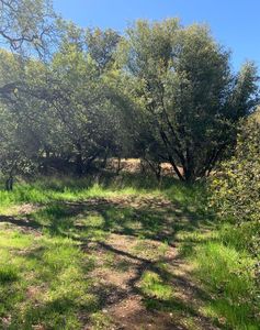 11416 Bonanza Way, Rough And Ready, CA, 95975