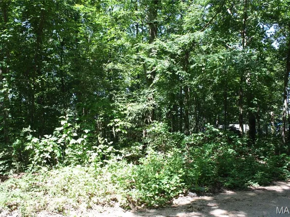 0 Lake View Dr, Wappapello, MO 63966