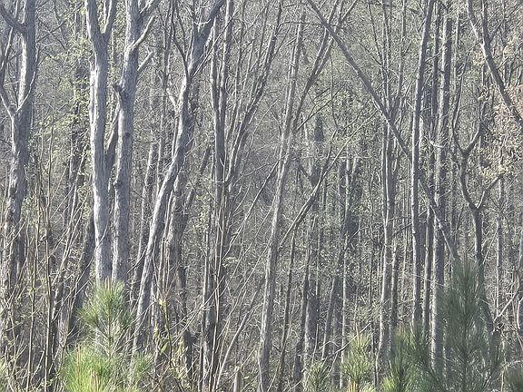 3rd image of 0 Mercier Road