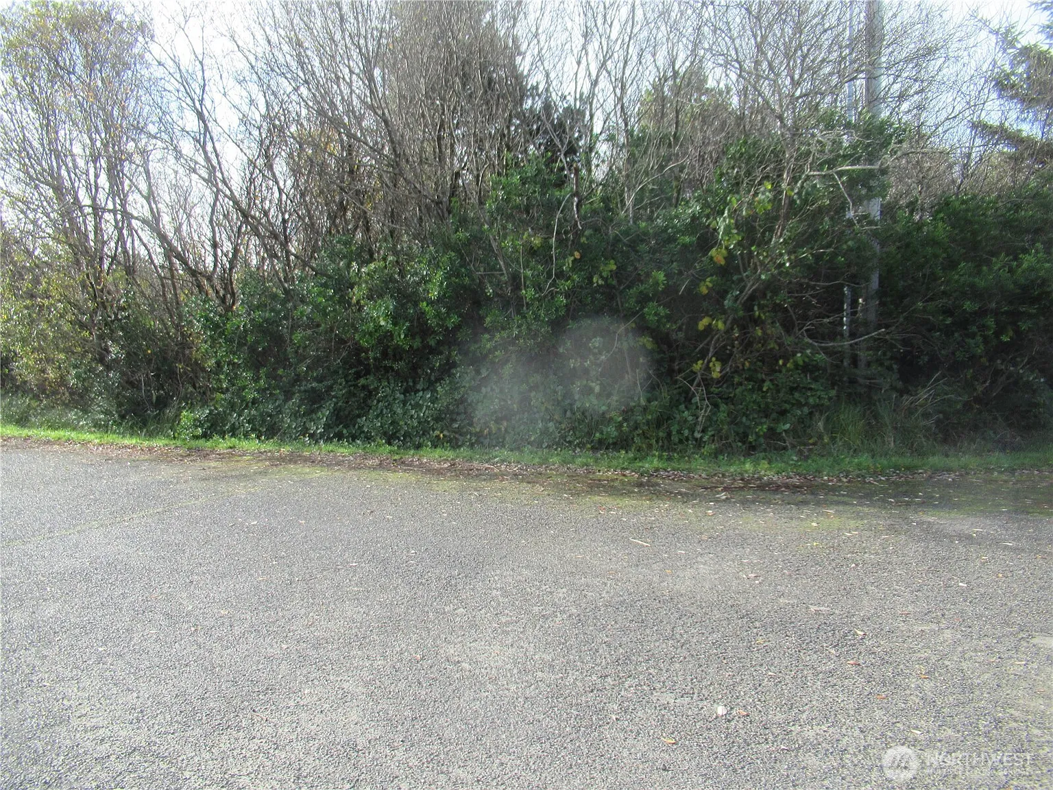 16 Driftwood Drive photo 1
