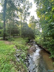County Road 212, Collinsville, AL, 35961