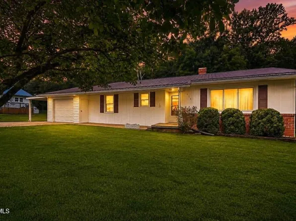 226 Bank Dr, Fall Branch, TN 37656