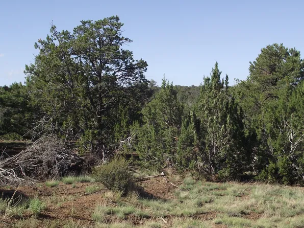 882 E Little Horse Rd #153, Williams, AZ 86046