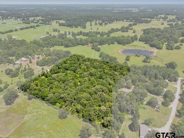 Vz County Road 4607, Ben Wheeler, TX 75754