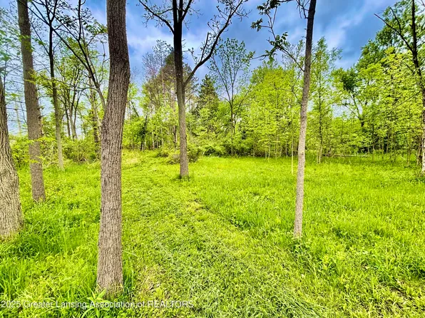 B Lot 0 Willow, Lansing, MI 48917