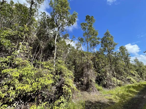 11-1808 Amakihi St Lot 30, Mountain View, HI 96771