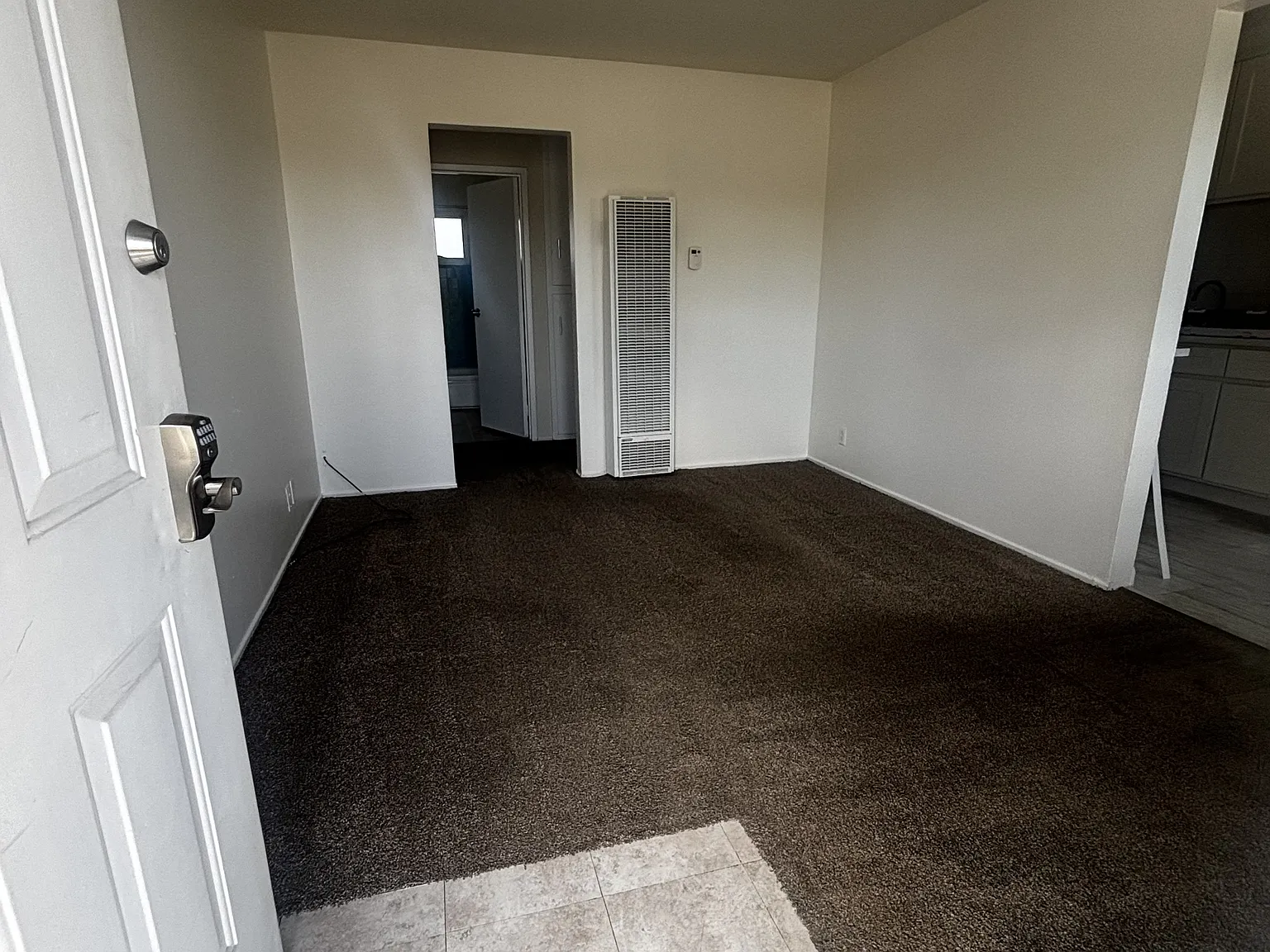 Lewis - 6 — Photo 4