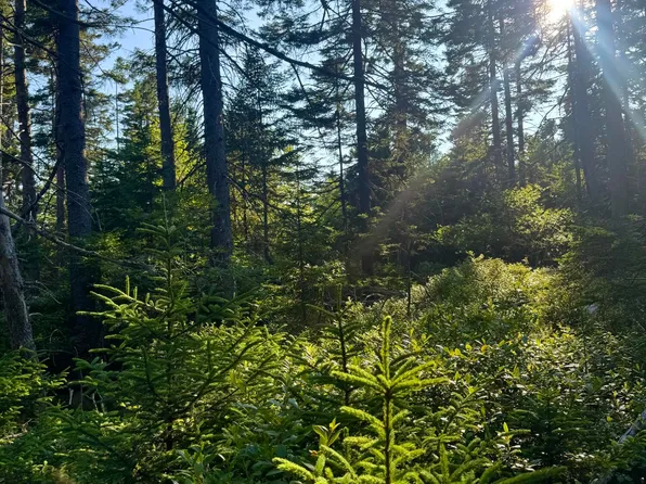Lot #1 Pequot Road, Vinalhaven, ME 04863