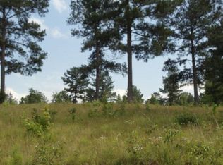 300 Slalom Pass, Forsyth, GA 31029
