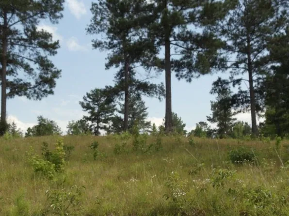 300 Slalom Pass, Forsyth, GA 31029