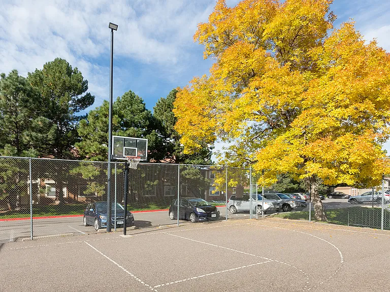 Shoot around or challenge friends to a game of basketball