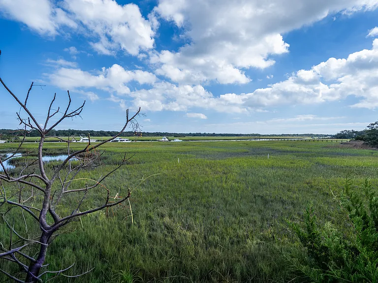View from back deck