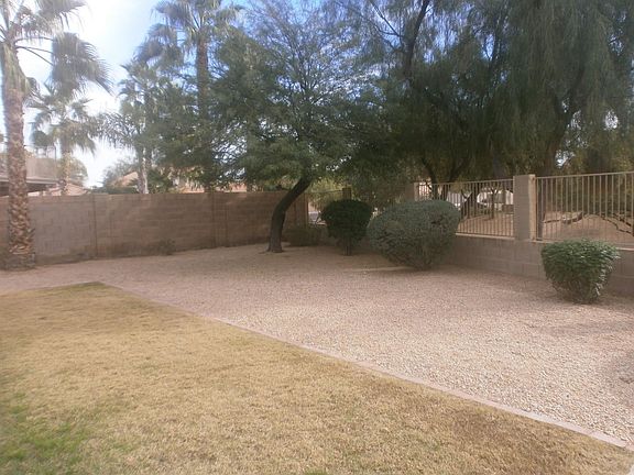 Back Yard and View of Green Space
