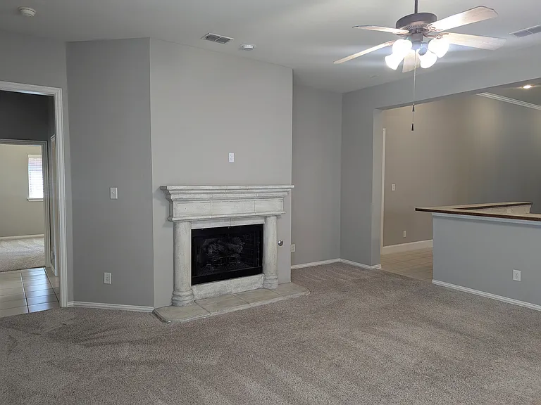 4200 Tiffany Dr — Photo 11