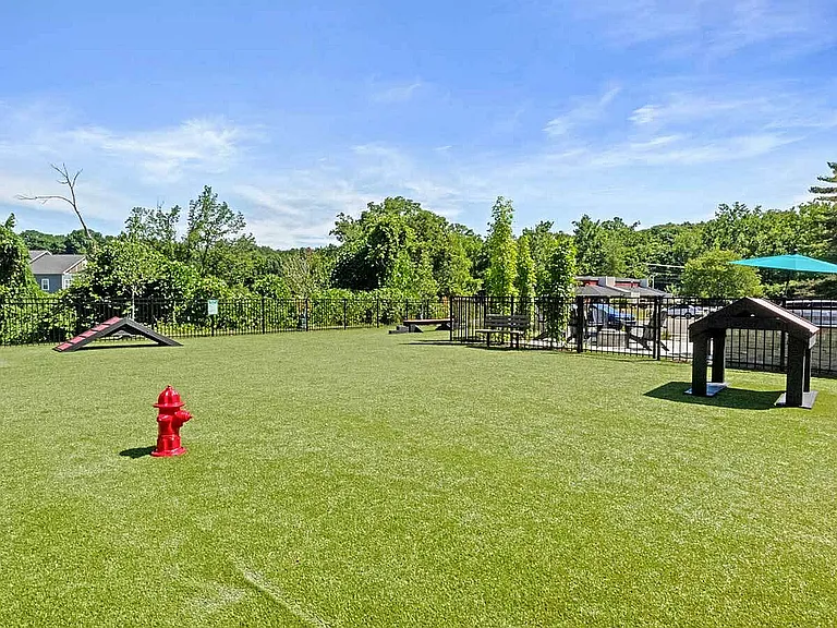 Dog Park