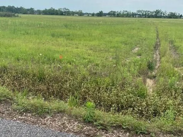 Lakota St, Lacassine, LA 70650