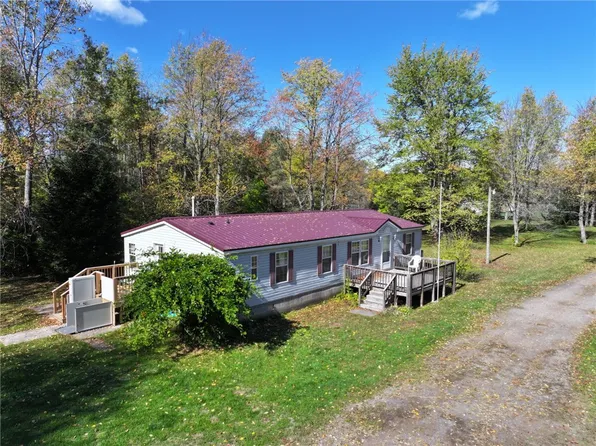 13562 Jenkins Rd, Red Creek, NY 13143