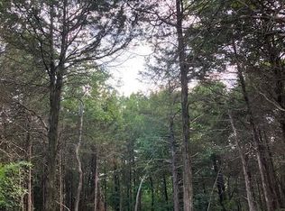 27 Simms Rd, Park Hills, MO 63601