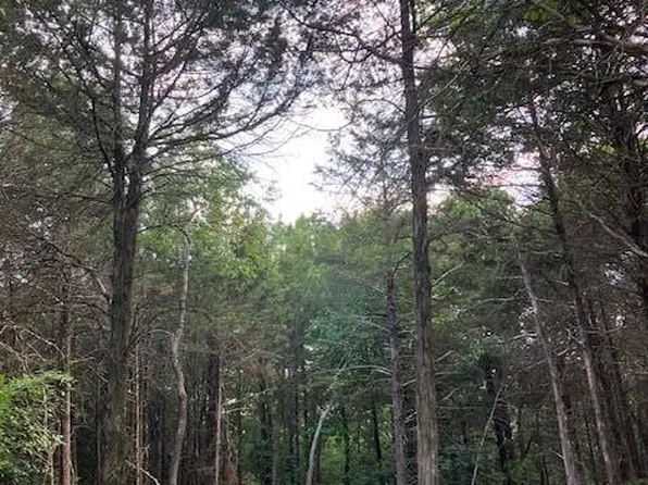 27 Simms Rd, Park Hills, MO 63601