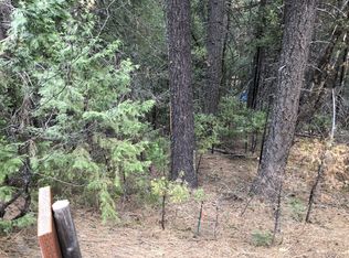 721 Lake Forest Dr, Trinity Center, CA 96091