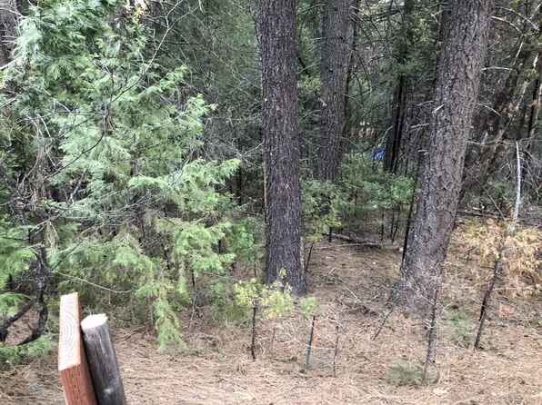 721 Lake Forest Dr, Trinity Center, CA 96091