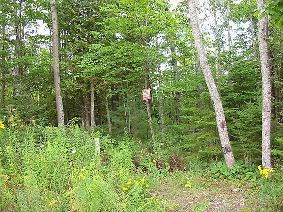 fairway towards lot