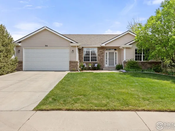 316 Whitney Bay, Windsor, CO 80550