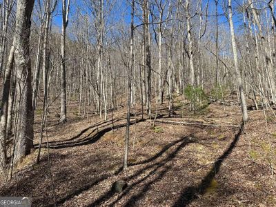 LOT 95/97 Asheland Cove Dr #95/97, Young Harris, GA, 30582