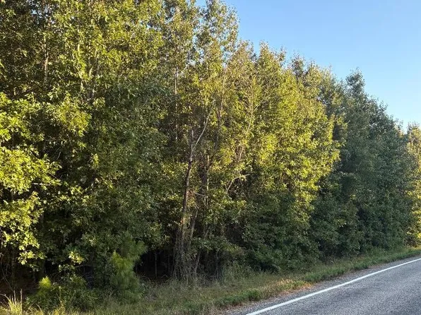 TRACT 19 Highway 990, Simms, TX 75574
