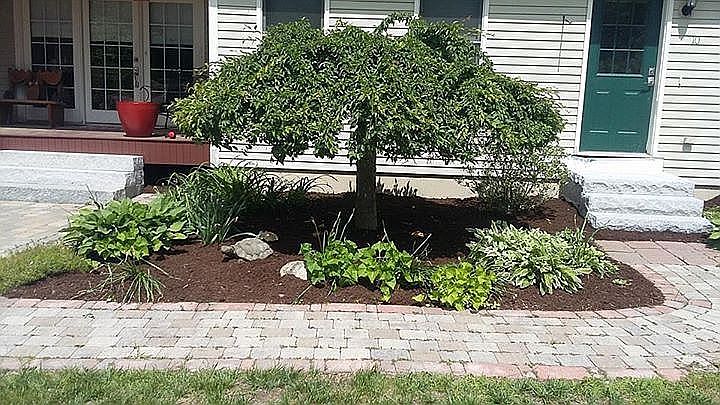 Front Walkway-Garden