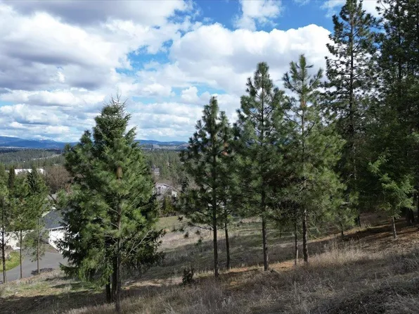 1411 W Toni Rae Dr, Spokane, WA 99218