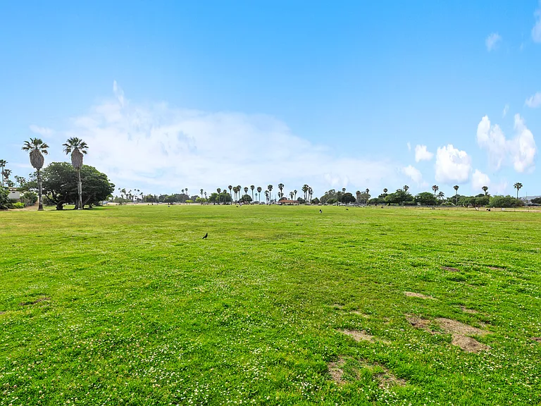 Dusty Rhodes Park behind complex