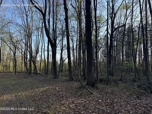 4th image of County Road 493